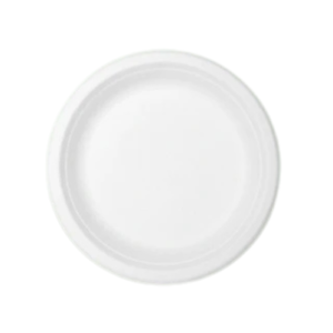 10 Round Plate
